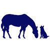 Blue Run Veterinary Practice Favicon