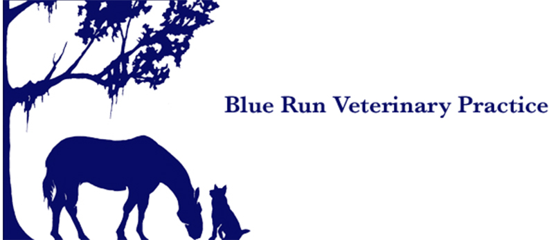 Blue Run Veterinary Practice Logo